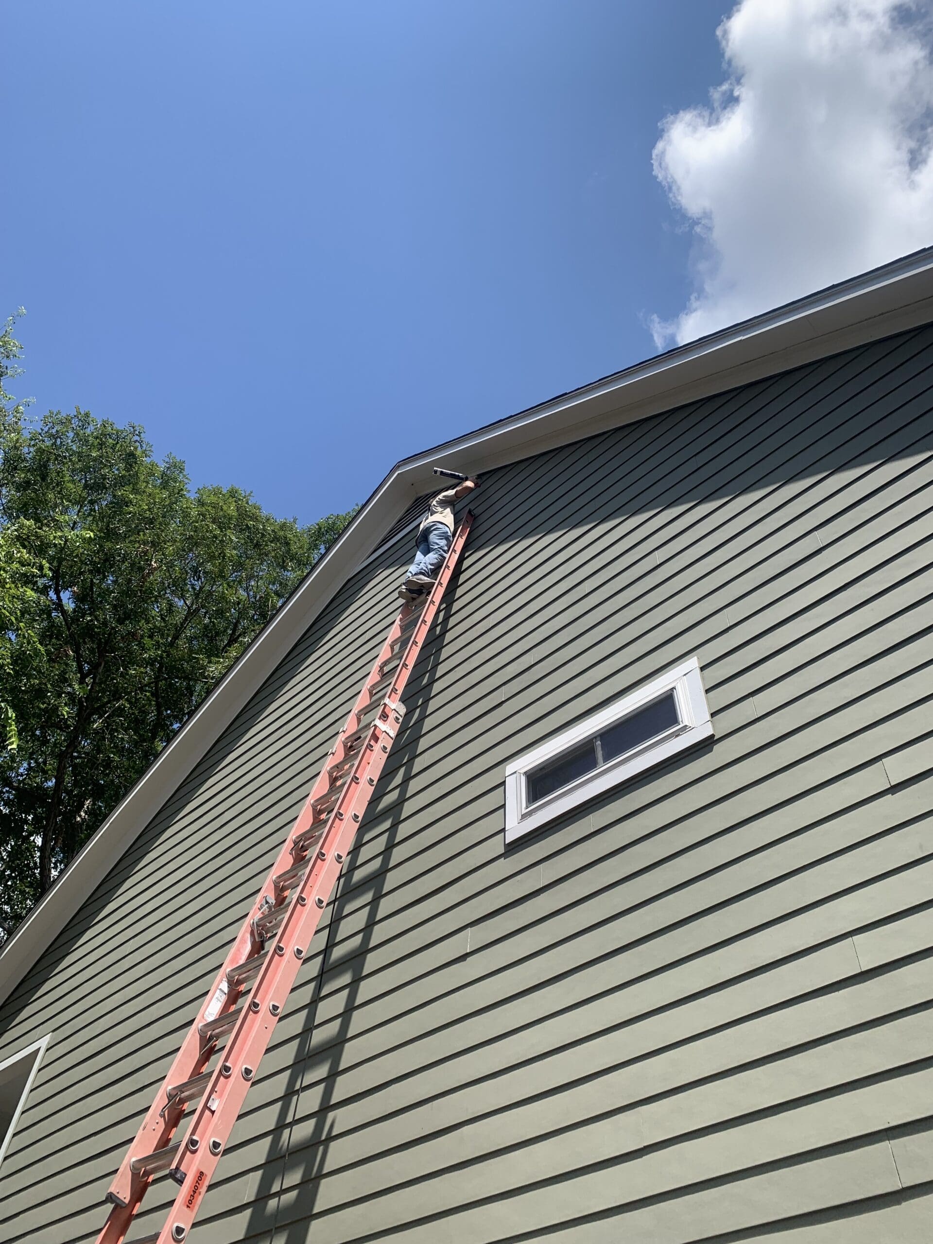 wildlife removal in hedwig village tx
