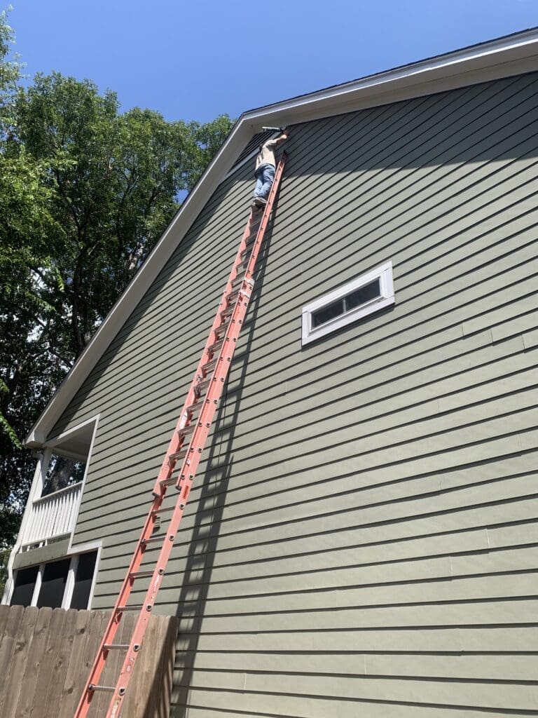 a technician performing bat removal on a home in houston