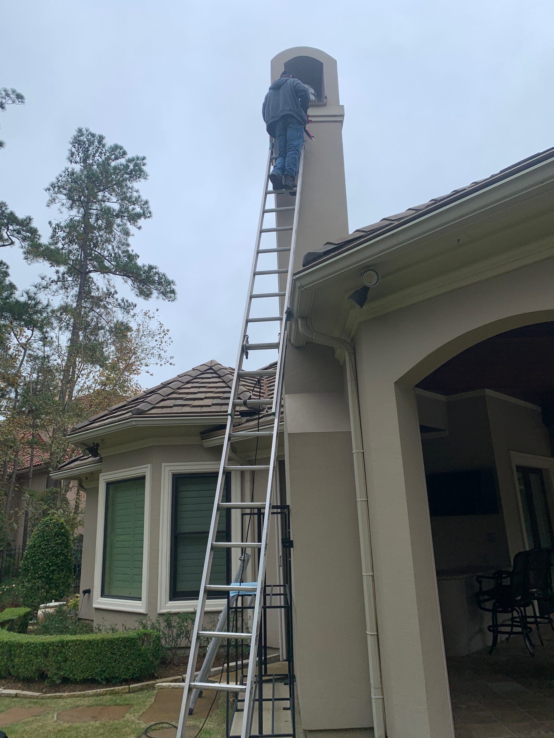 wildlife removal conroe tx