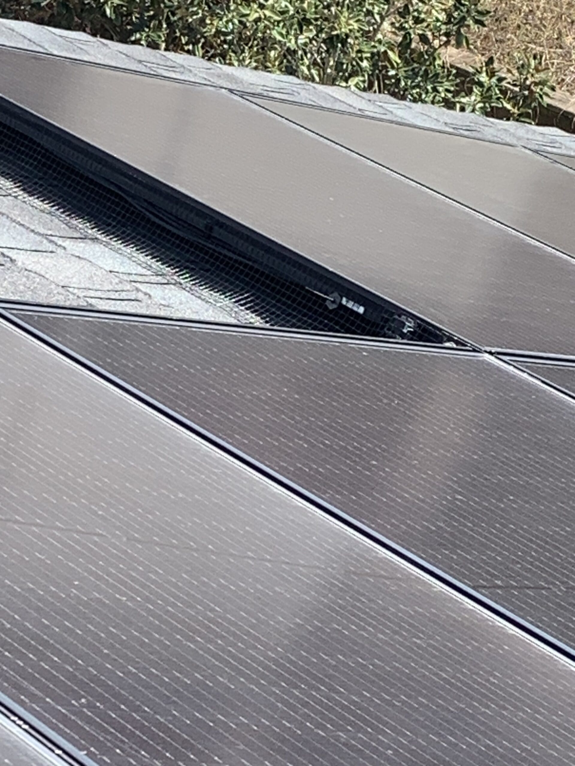 solar panel bird control