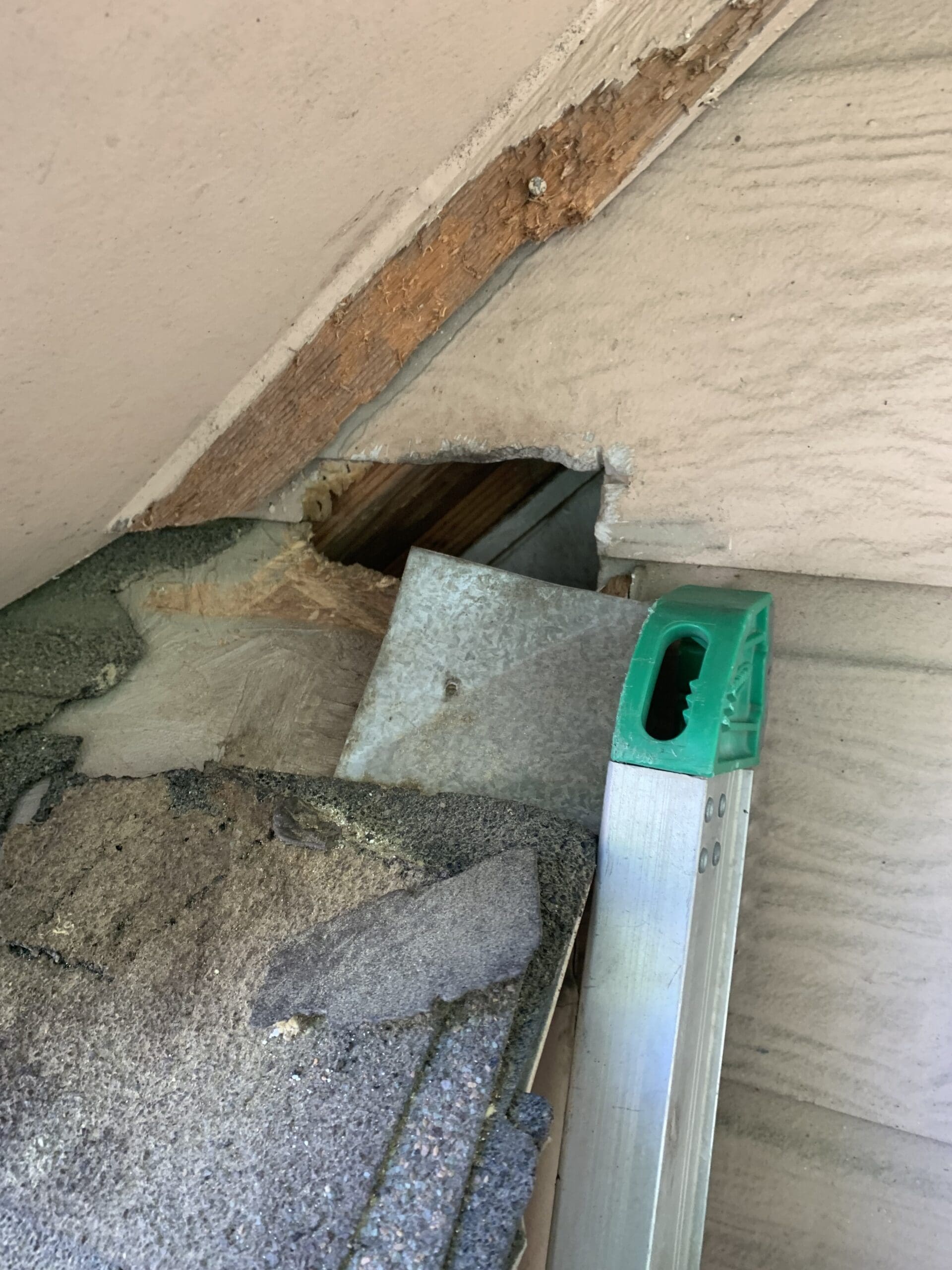 wildlife removal services in hedwig village