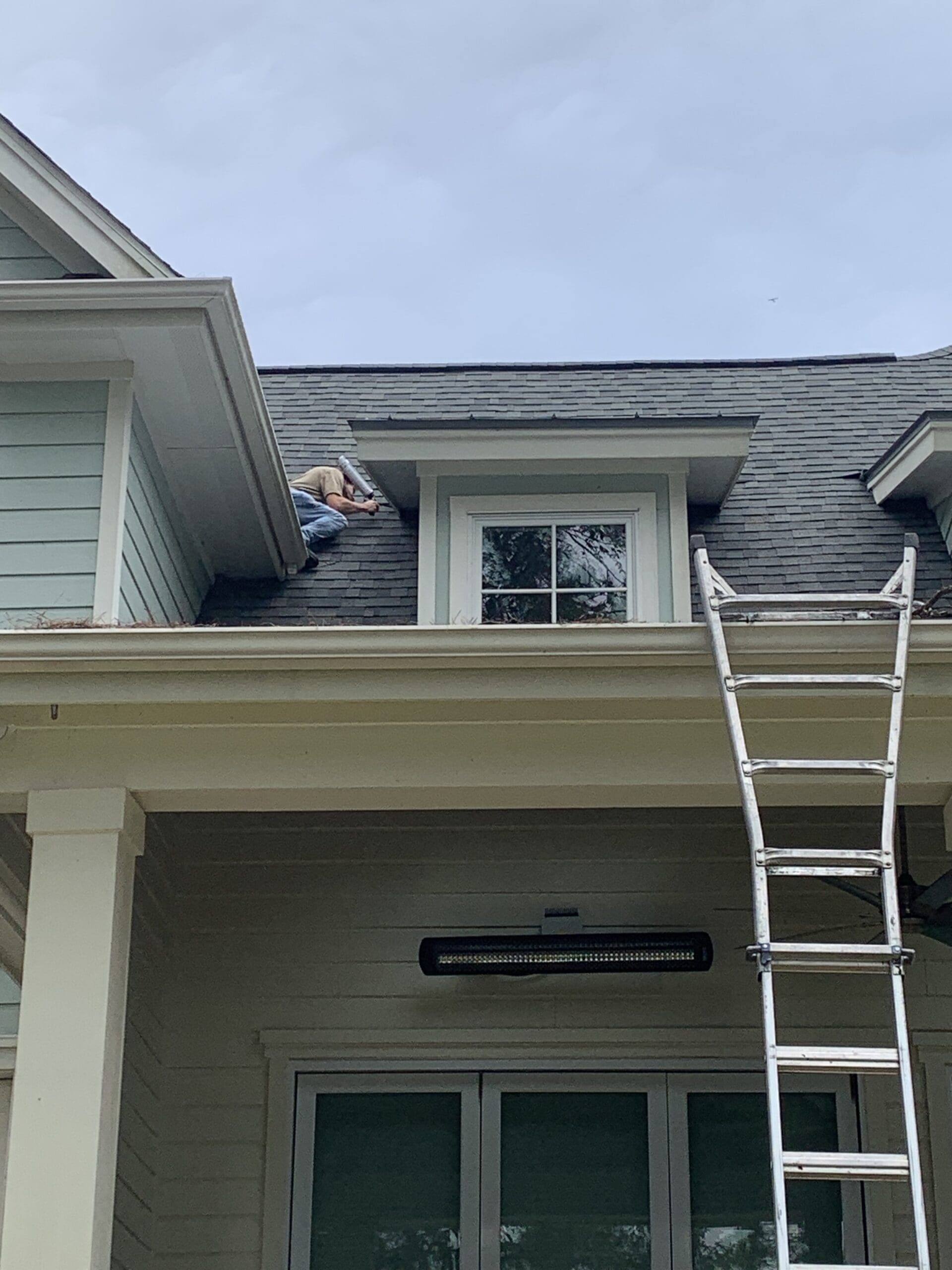 humane wildlife removal spring tx​