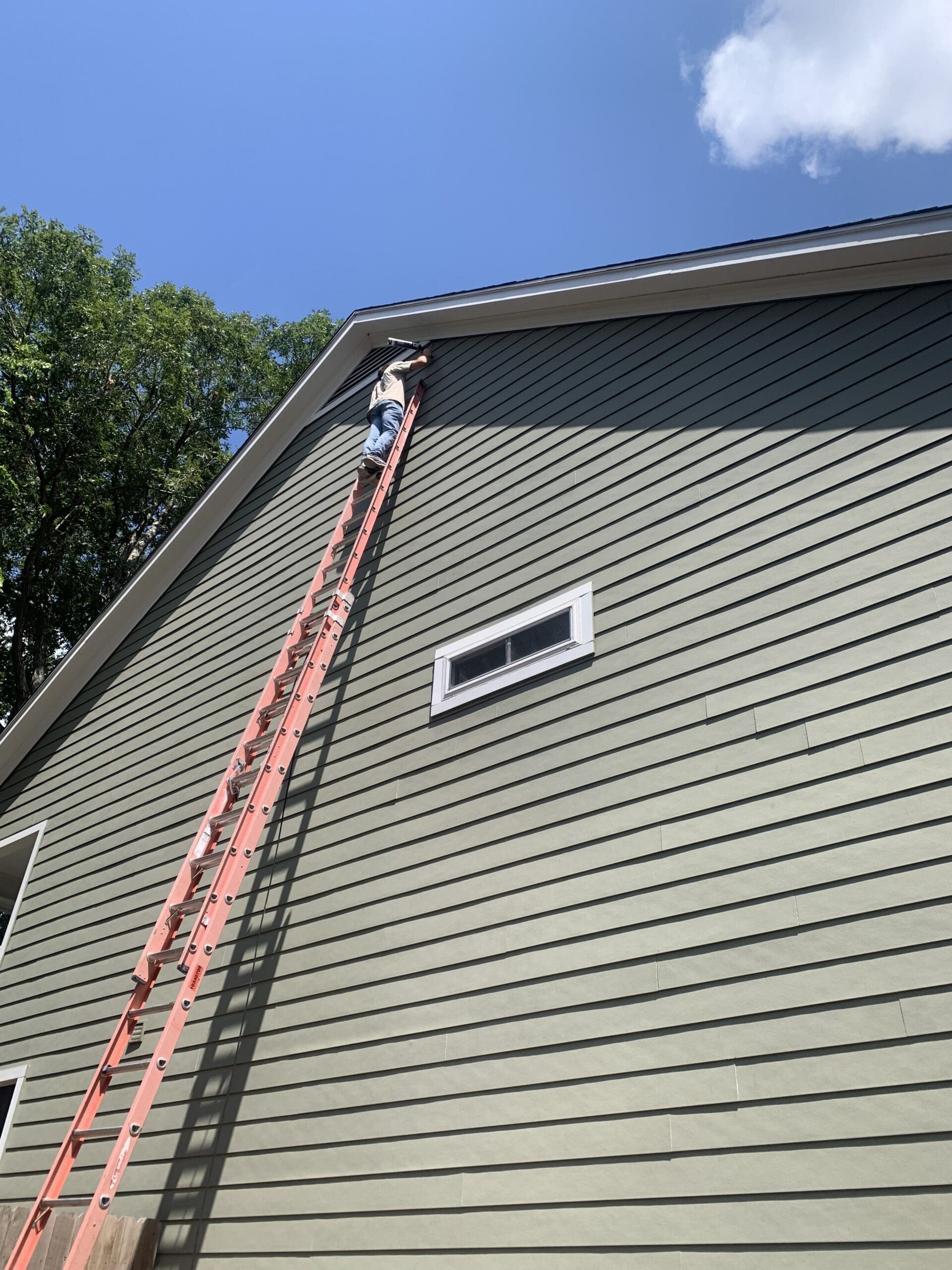 wildlife removal in bellaire tx