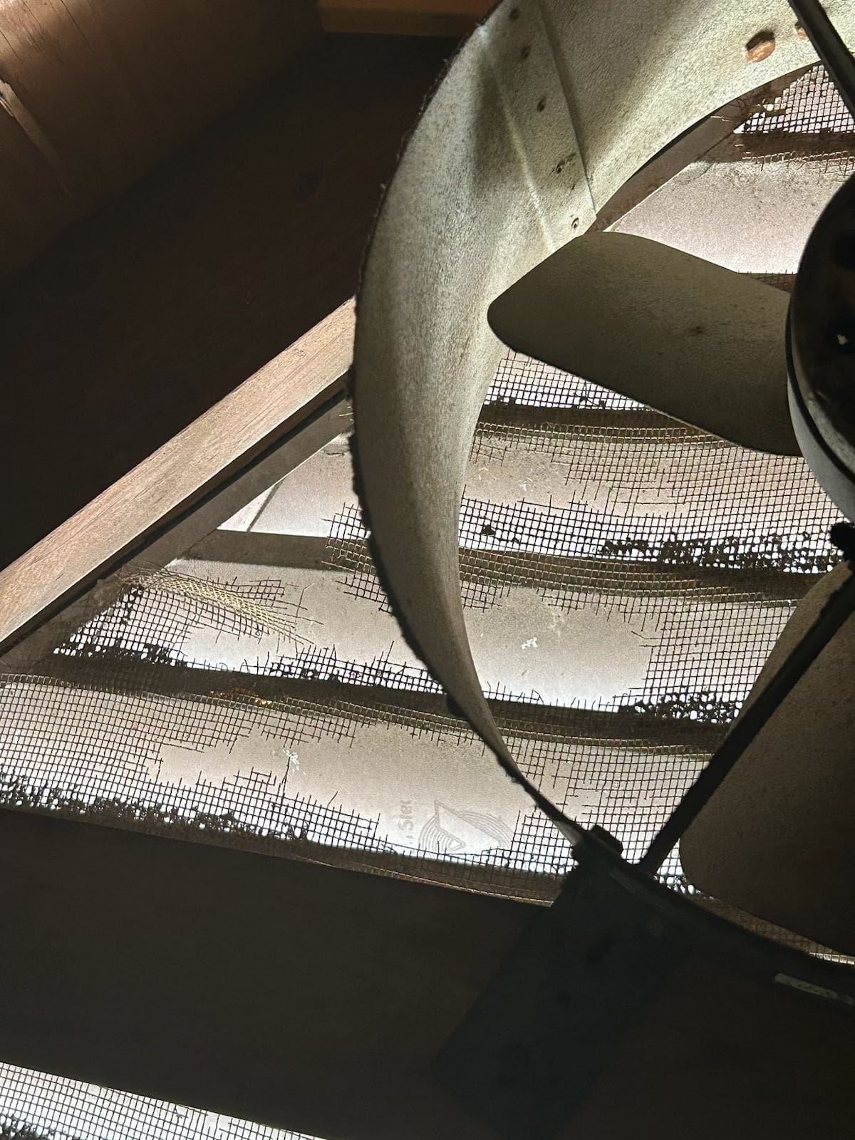 wildlife damage repair houston
