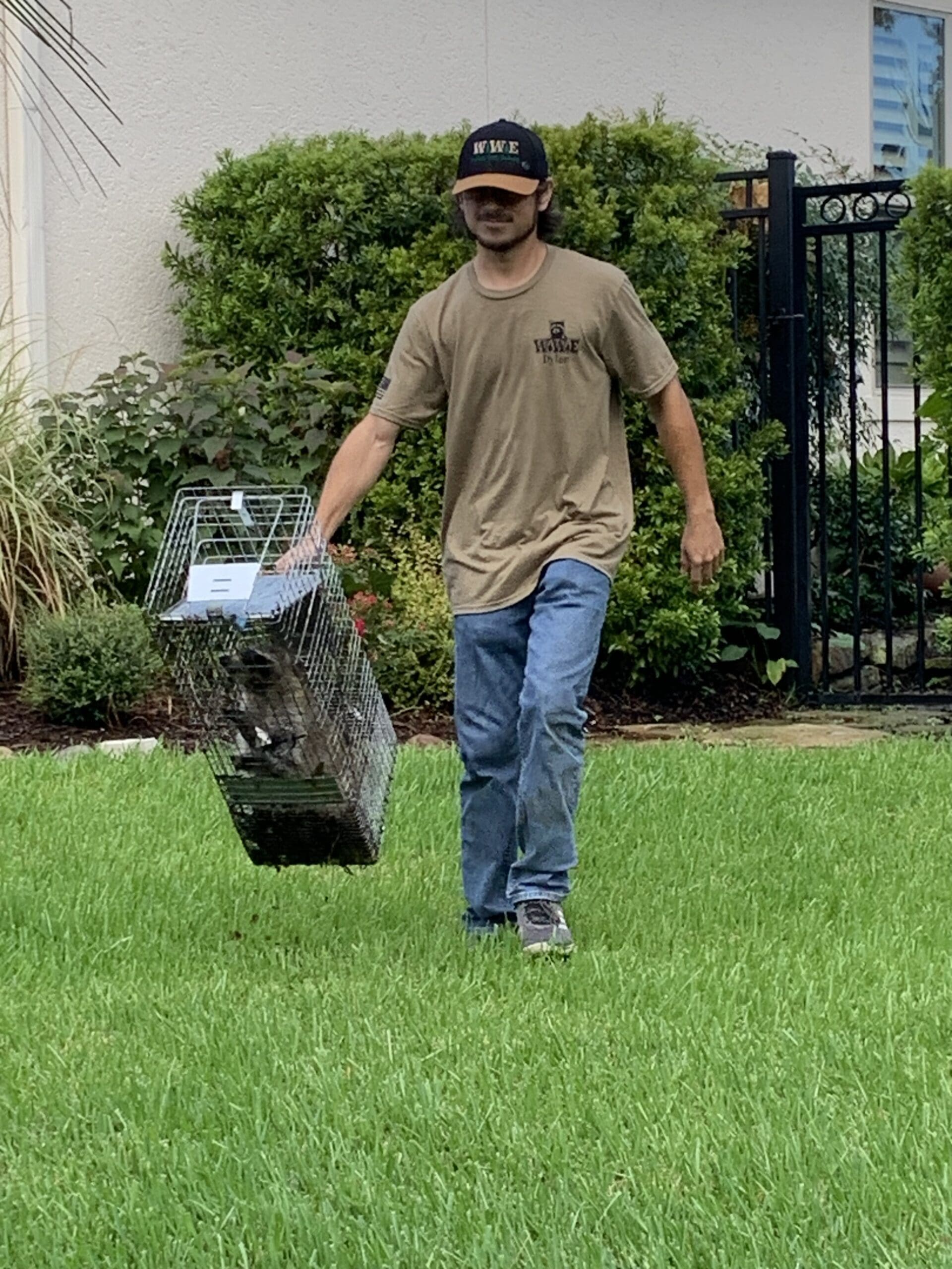 Woodlands Wildlife Elimination Technician Dylan providing raccoon removal in houston