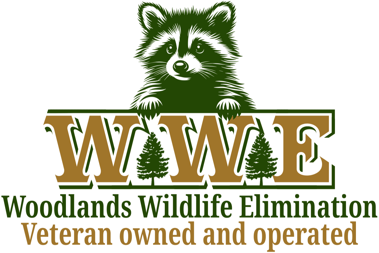 Houston Wildlife Removal