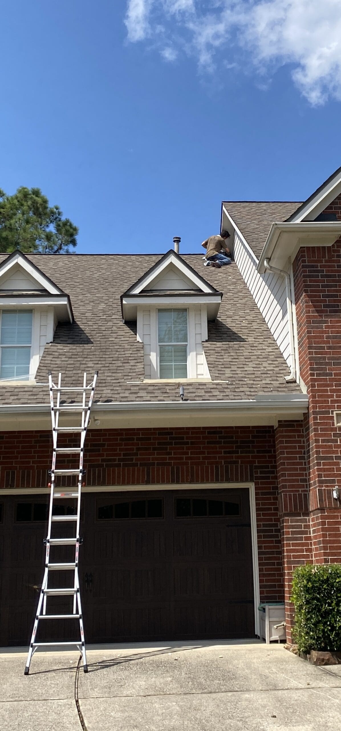 wildlife removal in kingwood tx