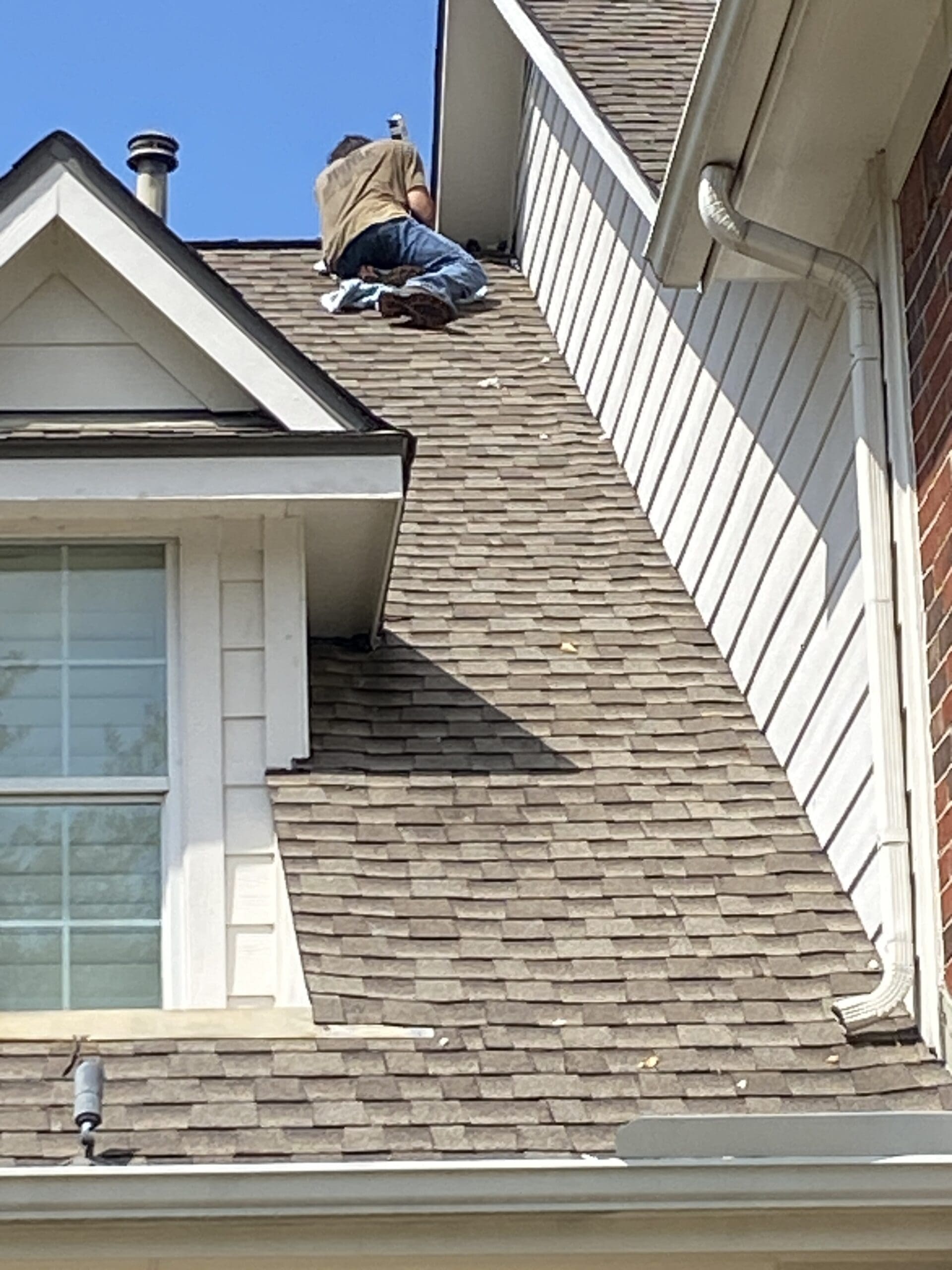 wildlife removal services cypress tx