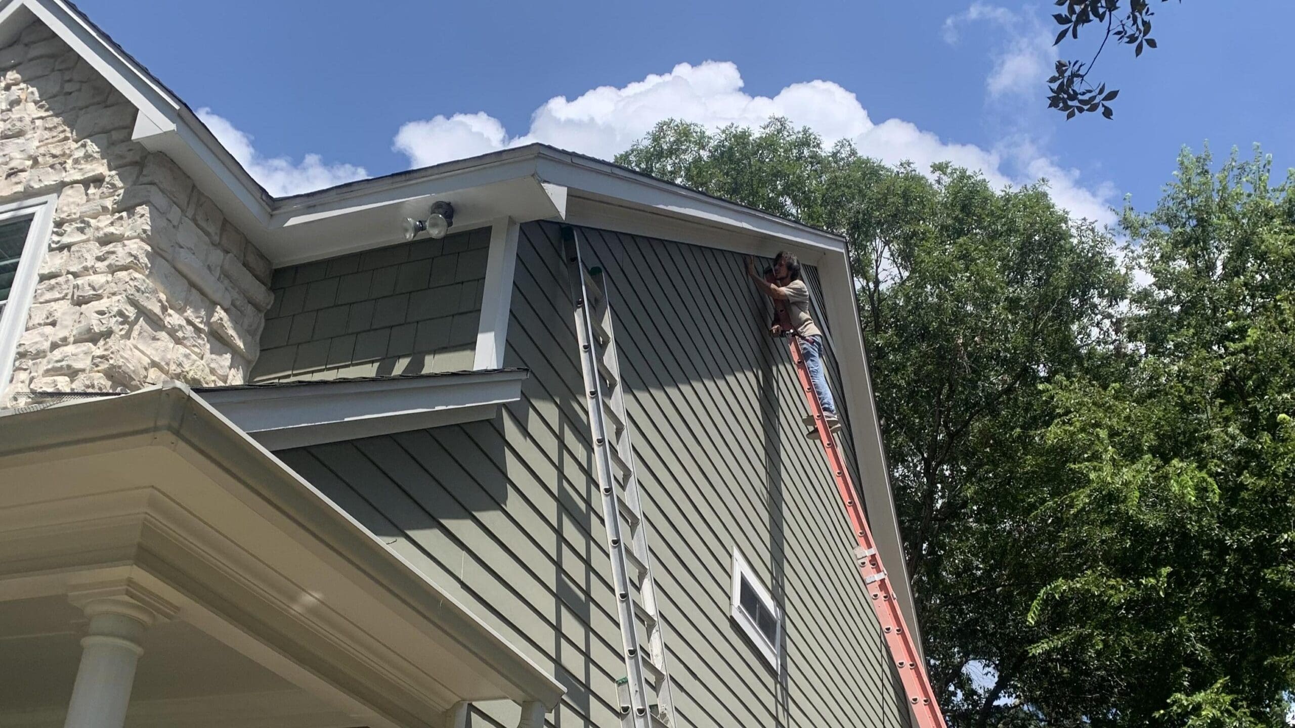 tomball bat removal